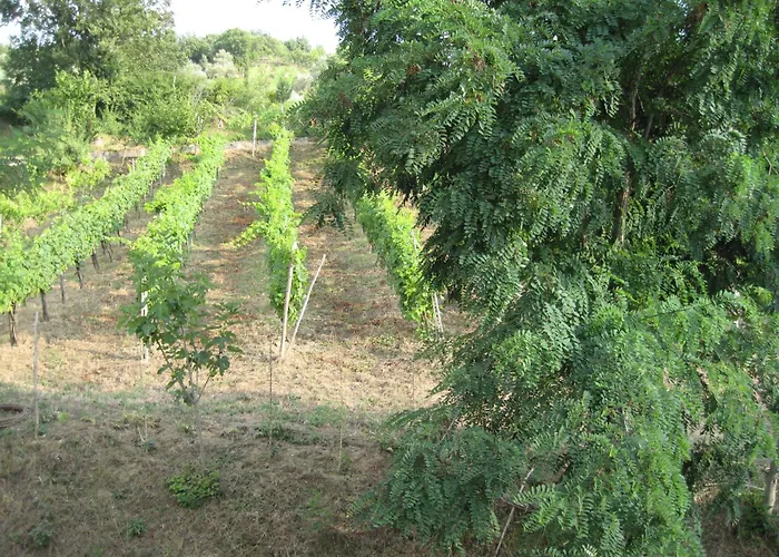 La Locanda Di Campagna